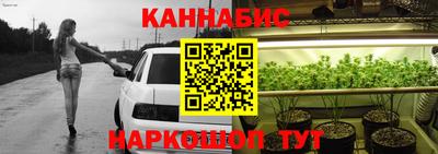 индика Шахты