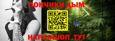 индика Шахты