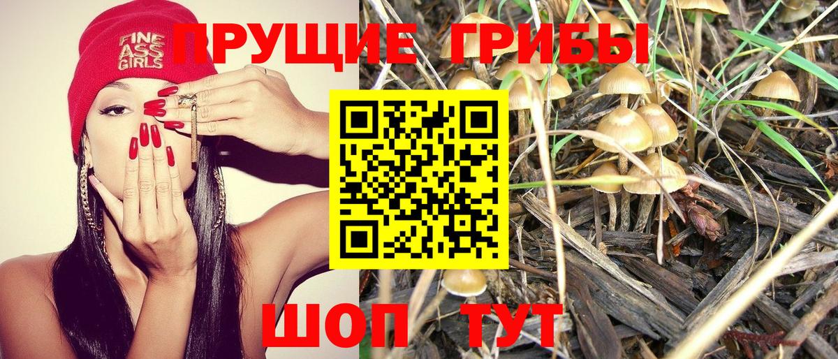Псилоцибиновые грибы мухоморы  Вход с VPN  Амурск 